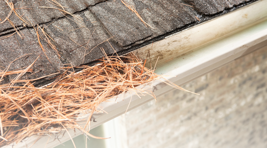 Do Gutter Guards Work for Pine Needles?