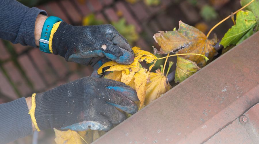 Fall Gutter Cleaning: Why It’s Essential for Your Home