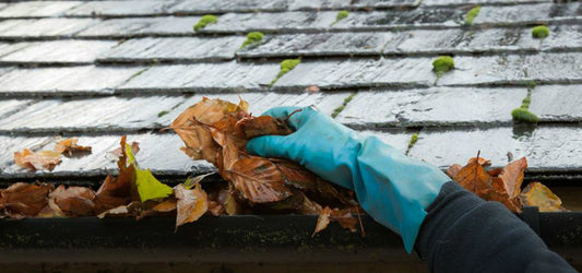 gloved hand with gutter leaves in it.