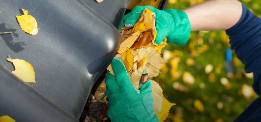 residential gutter with leaves in it