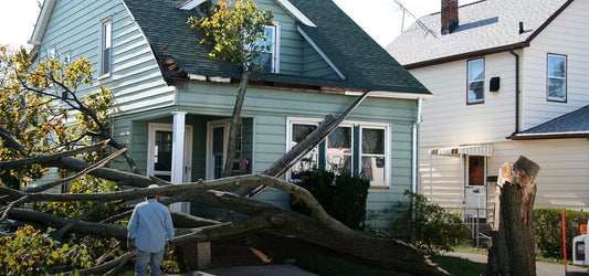 tree fell causing home damage. 