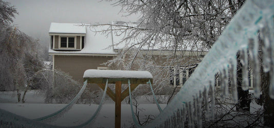 home covered with ice and snow