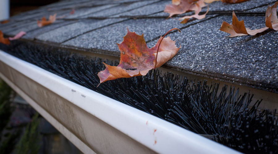 Gutter filled with brush gutter guard stops debris from clogging in-ground drain pipes