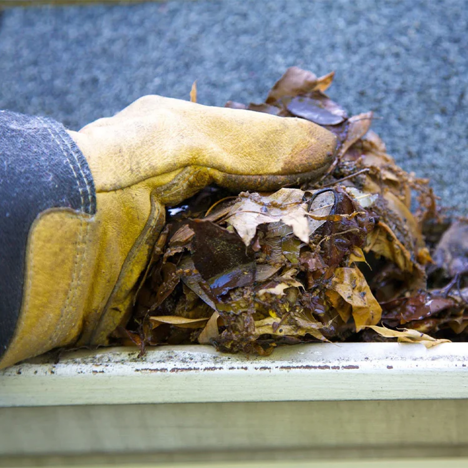 Remove debris from gutters