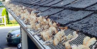 Gutter Screen with Maple helicopter seeds clogging