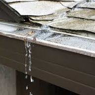 Gutter Mesh clogged with dirt