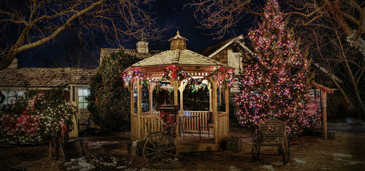 Christmas lights scene at a home