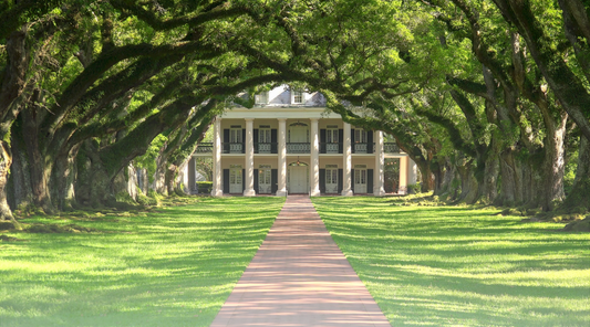Choosing the Best Gutter Guard for Oak Trees