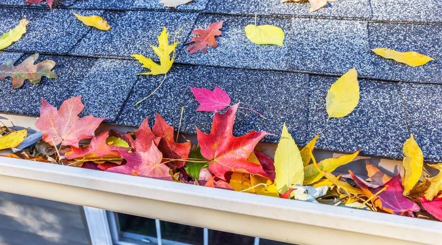 Unlock the Secret to Effective Gutter Protection from Leaves