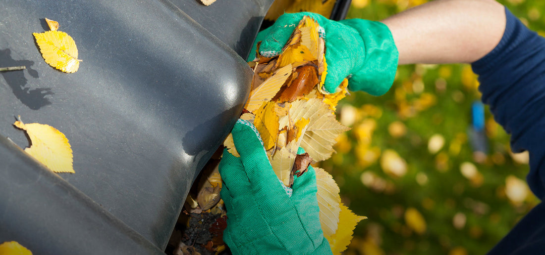 residential gutter with leaves in it