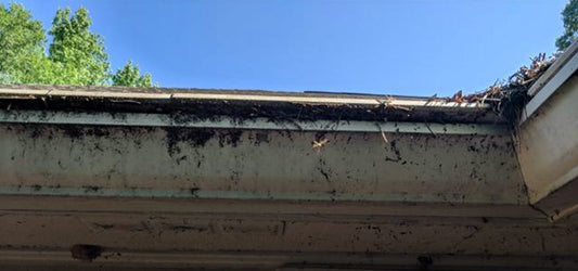 gutter guard filled with debris causing clog