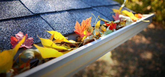 colorful leaves in a roof's gutter