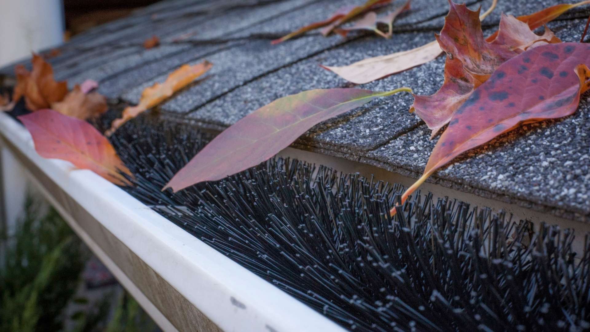 Gutter Guards for Leaf and Debris Protection – GutterBrush Gutter Guards