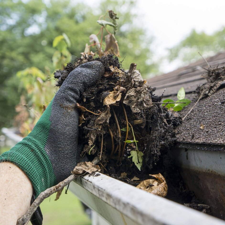 Rain Gutter Cleaning Near Me
