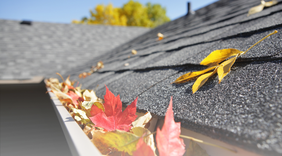 What is a Gutter Strainer: Pros and Cons