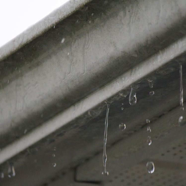 Will Gutter Foam Stop Gutter Overflow ? – GutterBrush Gutter Guards