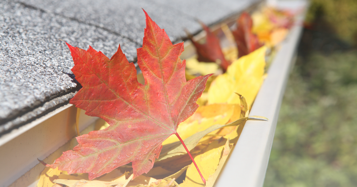 Gutter Oct How to Keep Leaves Out of Gutters Effectively | Simple Gutter ...