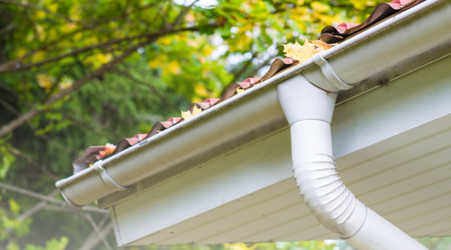 Gutter Trape Leaf Traps for Downspouts: Keep Gutters Clear- GutterBrush ...