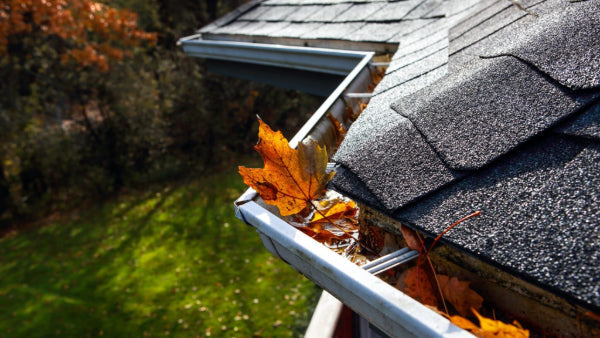 Leaves clogging gutter