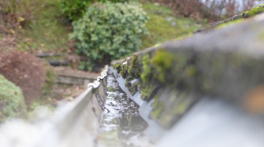 What is a Gutter Moss Guard?