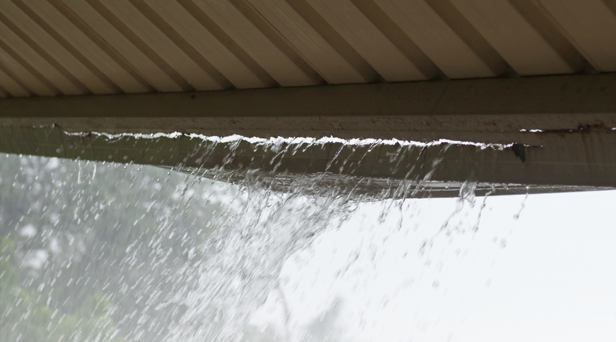 Choosing the Best Rain Gutter Filter: Expert Tips