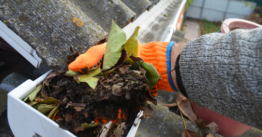Investing Wisely: Breaking Down the Cost of Gutter Cleaning for Your Home