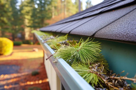 Gutter clogged with pine needles