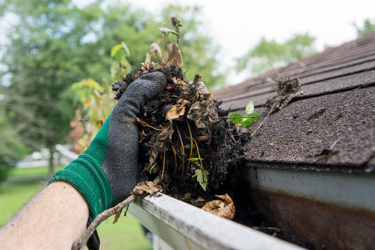 gloved hand pulling leaves and roots out of the gutter