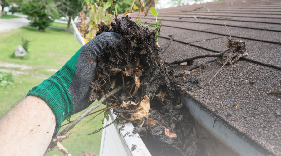 How to Keep Your Gutters Free from Summer Debris