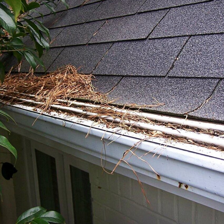 Best gutter guards consumer reports