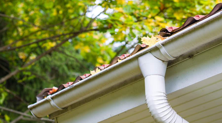 Do Foam Gutter Guards Work? An Affordable Solution or a Short-term Fix