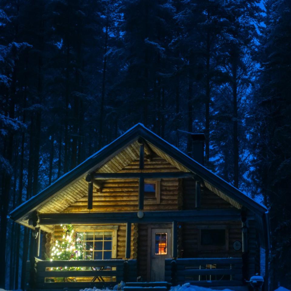 Best Gutter Guards For Pine Needles
