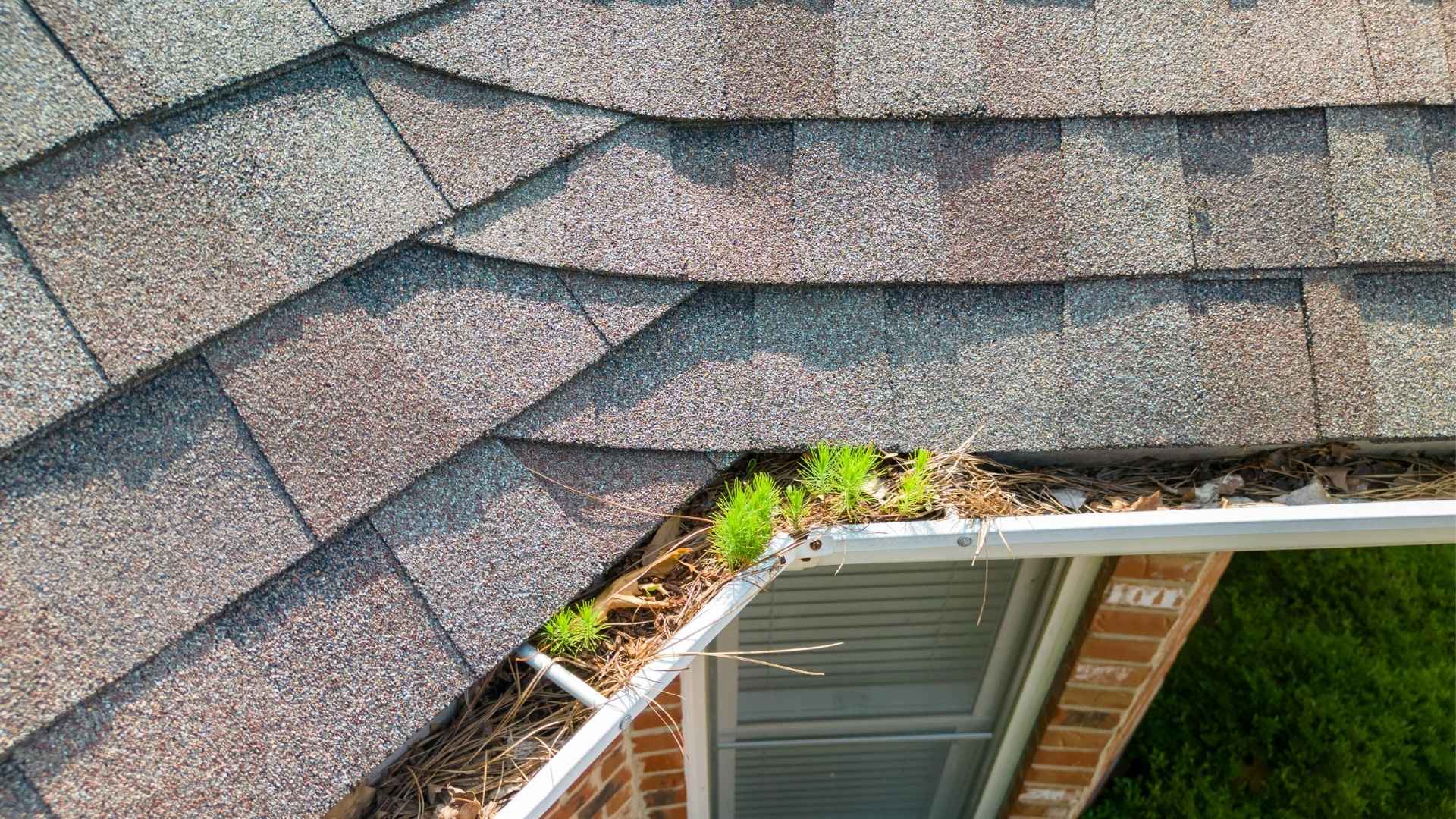 How to Stop Water Damage From Gutters, an Easy DIY insert – GutterBrush ...