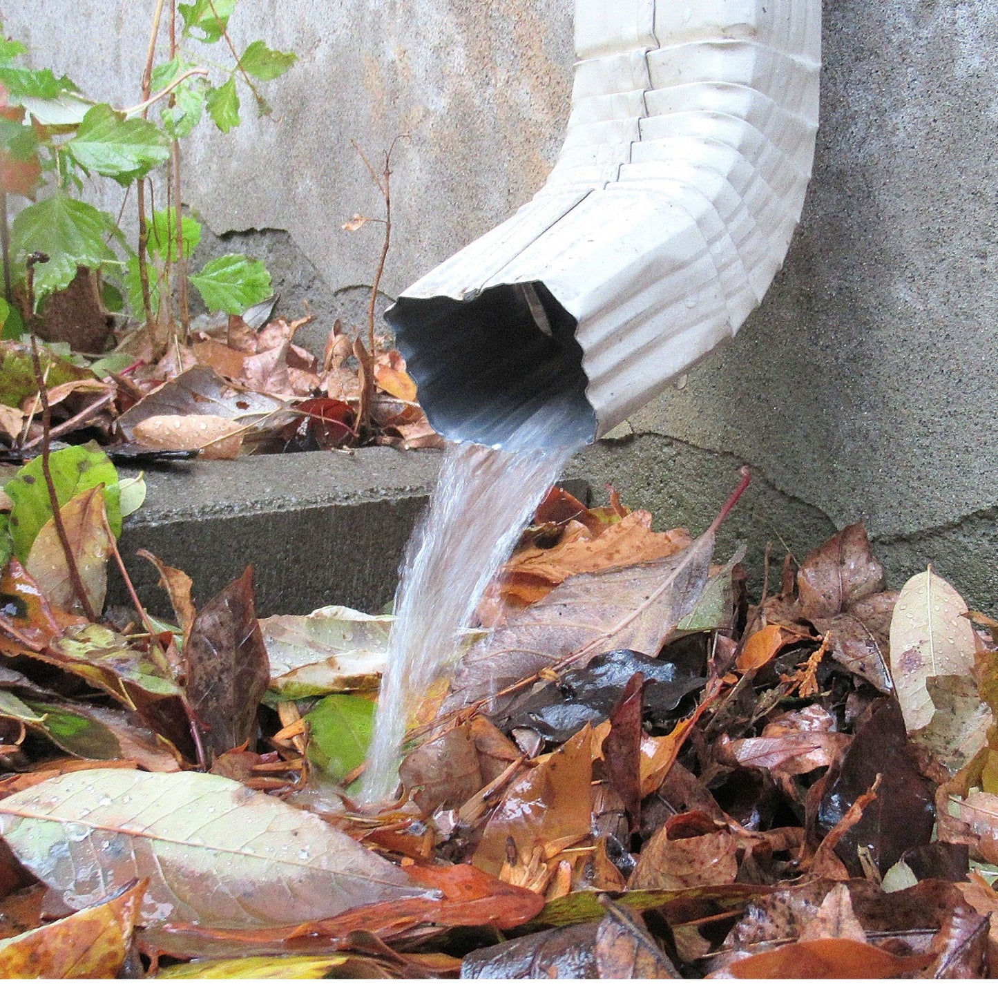 Gutter Downspout Guards - 4 Pack - GutterBrush Gutter Guards