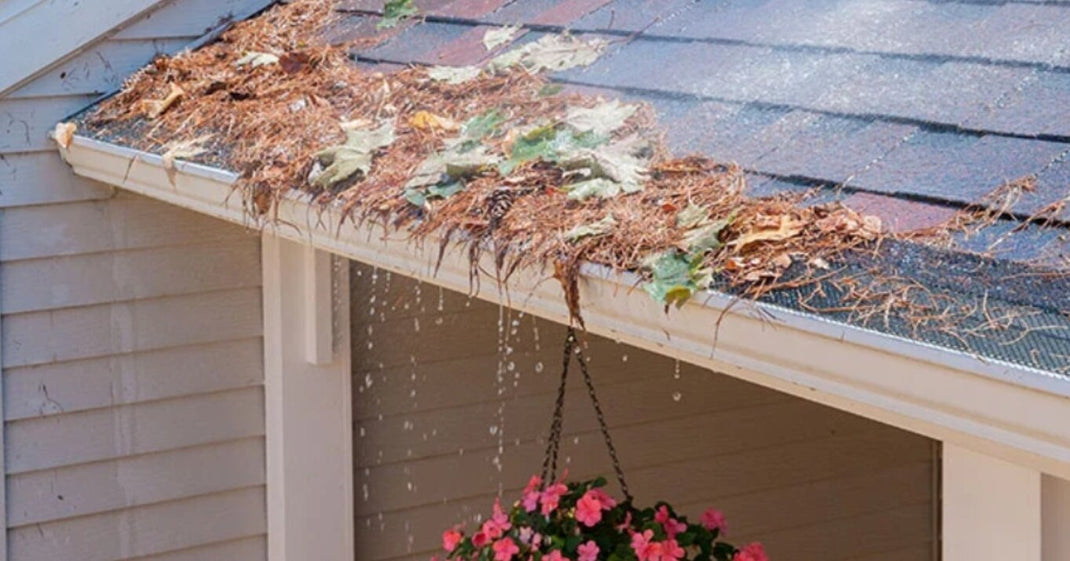 Gutter Guards – GutterBrush Gutter Guards