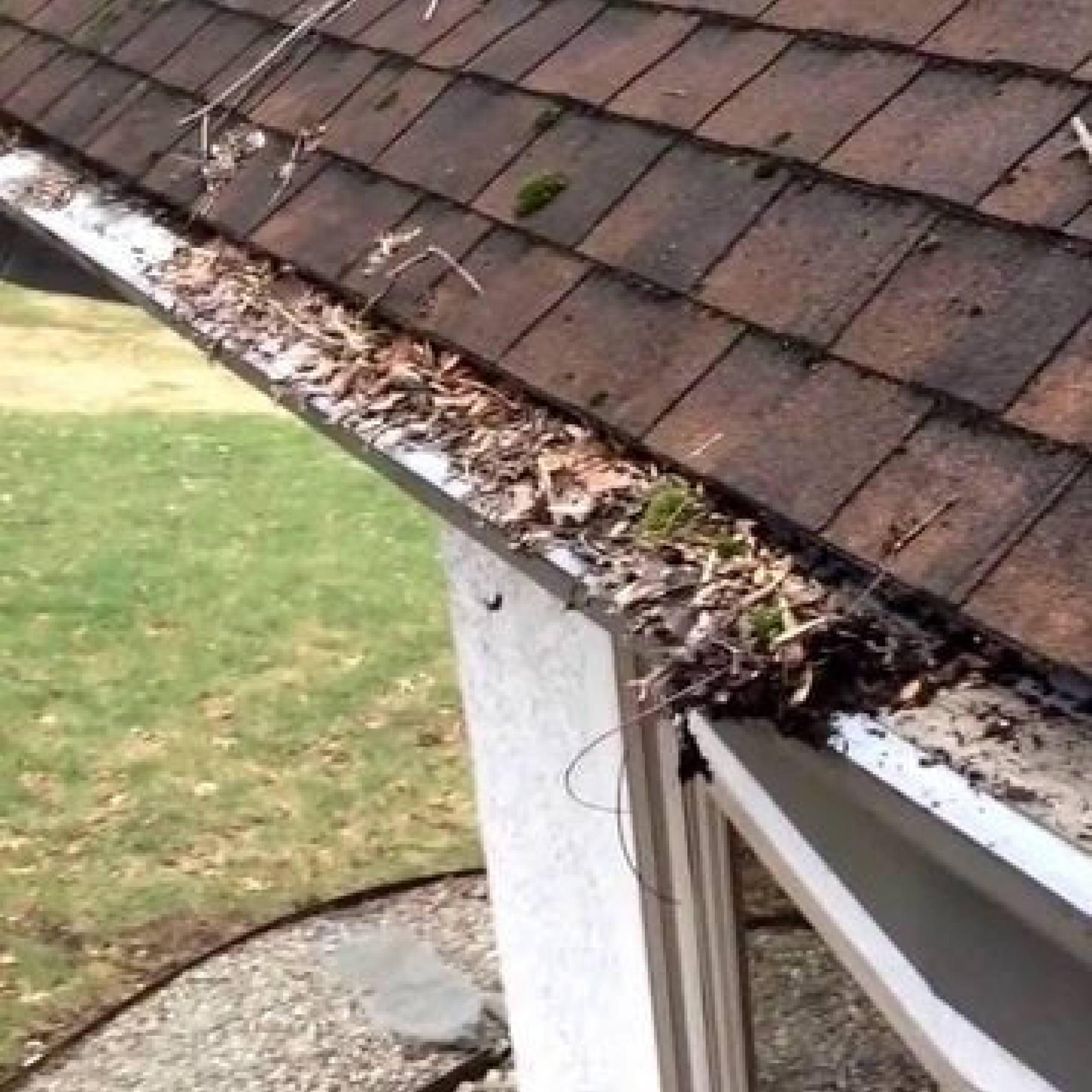 Debris laying on top of gutter microscreen
