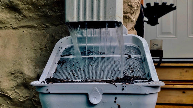 downspout mesh filter removes debris from harvested rain water